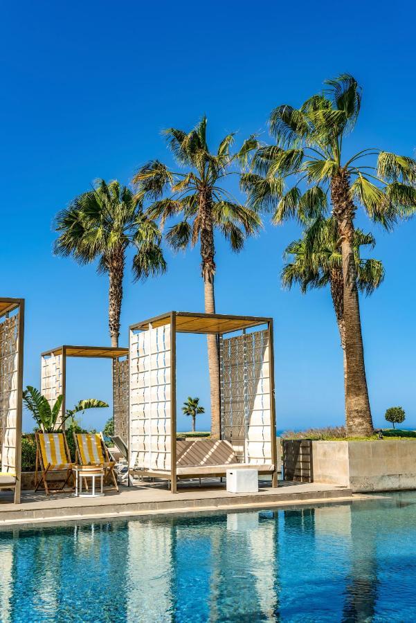 하얏트 플레이스 타가주트 베이 호텔 외부 사진 Palm trees in Limassol